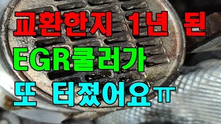 골프7세대 DPF가 왜이렇게 재생을 자주하죠?#강제재생#EGR쿨러#DPF