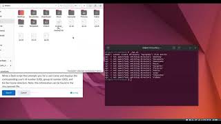Assignment 2 - Bash scripting