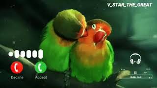 parrot atitude ringtone // message ringtone // Sms ringtone