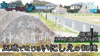 五感で感じるいにしえの記憶ー綾瀬市神崎遺跡資料館 2019/1/11 Fri