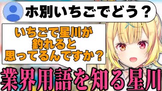 ホ別いちごの意味を知り、驚愕する星川サラ【にじさんじ/切り抜き/星川サラ/Vtuber】