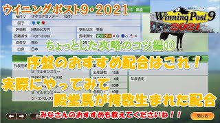 ウイニングポスト９・２０２１【ちょっとした攻略のコツ⑩】１９８４年スタートから１０年ほどやってみて、殿堂馬が複数出たおすすめ初期配合を紹介します！