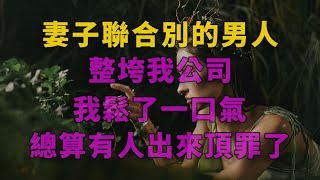 爽文|妻子聯合別的男人整垮我公司，我鬆了一口氣，總算有人出來頂罪了 #一口气看完 #爽文 #小說 #故事 #小说