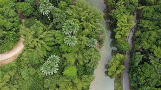 Marianne River | Road Trip | Blanchisseuse Bridge | Boil Corn :(