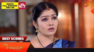 Ala Venkatapuramlo - Best Scenes | 30 Dec 2023  | Gemini TV | Telugu Serial