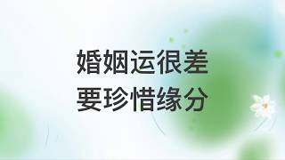 卢台长看图腾：婚姻运很差，要珍惜缘分