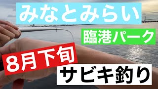 【2023年8月下旬みなとみらい臨港パークサビキ釣り！】#釣り #みなとみらい #臨港パーク