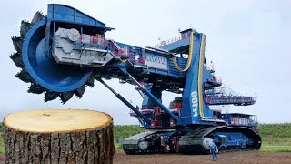 Dangerous Fastest Chainsaw Cutting Tree Machines Felling Tree Heavy Equipment Machine | Big Business