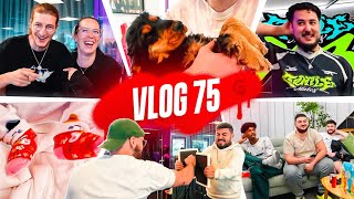 CAM EST DE RETOUR !! | VLOG #75