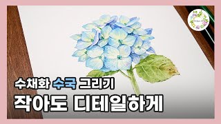 두가지 색을 하나의 꽃잎에 채색하기 watercolor painting