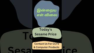 1200 மூட்டைகள் எள் ஏலம் | Sesame Wholesale Rate | #aqsemedia #sesameprice #cctv #sivagiri