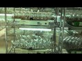 Orchid Breeding and Micropropagation Laboratory