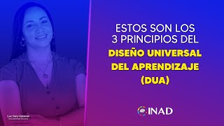 3 principios del DUA | Aprendizaje | Educación