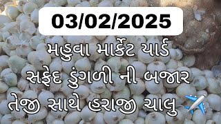 મહુવા માર્કેટ યાર્ડ || આજ ના ભાવ || સફેદ ડુંગળી ની બજાર || બજાર ભાવ || એક્સપોર્ટ માલ || today onion