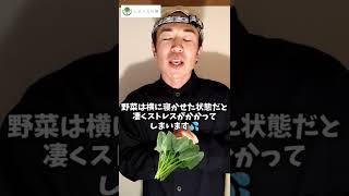 ほうれん草の保存方法🥦現役農家が教える野菜の保存方法！