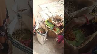 Women Selling Red Ants|Red Ants Chutney |super food | Jharkhand village #shortvideo #shorts