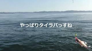 2024年5月25日香川県坂出沖湾内調査