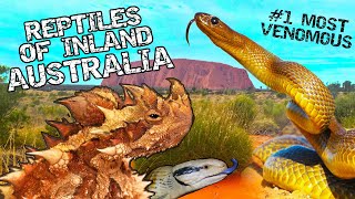 Finding The Worlds Most VENOMOUS Snake \u0026 Reptiles Of Inland Australia