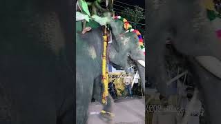 puthenkulam Ananthapadmanabhan | Kerala elephant