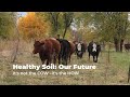 Healthy Soil: Our Future –It's not the Cow, it's the How!