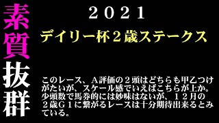 【ゼロ太郎】「デイリー杯２歳ステークス2021」出走予定馬・予想オッズ・人気馬見解