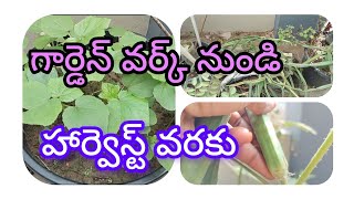 సాధారణ మట్టిని బలమైన మట్టిగా ఈ విధంగా చేయండి, ఇలా చేస్తే మొక్కలు బాగా పెరుగుతాయి||తెలుగులో ||