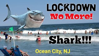Shark Washed Ashore | Ocean City NJ Beach | Family Travel and Share | During covid