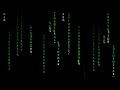 matrix raining code screensaver 30 minutes