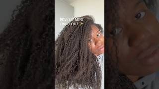 MINI TWIST OUT ON MY TYPE 4 NATURAL HAIR #shorts #minitwists #naturalhair #hairtutorial #type4hair