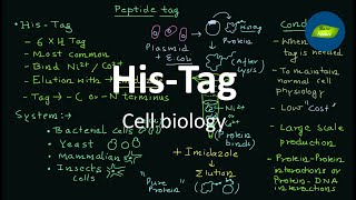 Peptide tag | Protein tag | His tag | Cell Biology | Basic Science Series