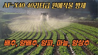 [농업용드론] 배추, 양배추, 양파, 마늘 등 원예작물 방제는 40리터급 AF-X40 #농업용드론 #방제드론 #벼농사 #배추방제 #양배추 #마늘 #양파 #방제사 #AFX40