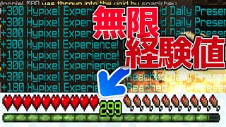 【Minecraft】Hypixelで無限に経験値を稼ぐ裏技...!?【Hypixel】