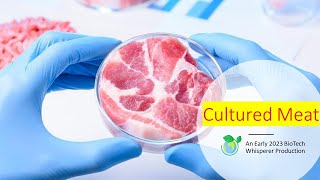 Cultured Meat Explained in 10 Minutes