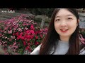 vlog 13开学前和妈妈游云南 做游客的一周 昆明官渡 大理 丽江 和妈妈在一起就是最幸福的事 拍照 骑马 看雪山 逛古城