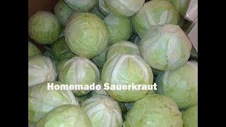 Homemade Sauerkraut - No Canner Required