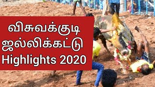 விசுவக்குடி ஜல்லிக்கட்டு 2020 Highlights || visvakudi jallikattu event 2020 Highlights