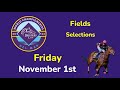 Breeders Cup: Friday (11/1/24) Fields & Selections - Full Card