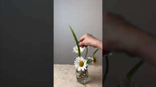 大濱菊插瓶花｜flower arrangement in glass