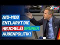 AfD-MdB Petr Bystron entlarvt die Heuchelei grüner Außenpolitik! - AfD-Fraktion im Bundestag