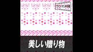 美しい贈り物 2024年12月29日 放送分