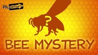 Why Bees Are Important