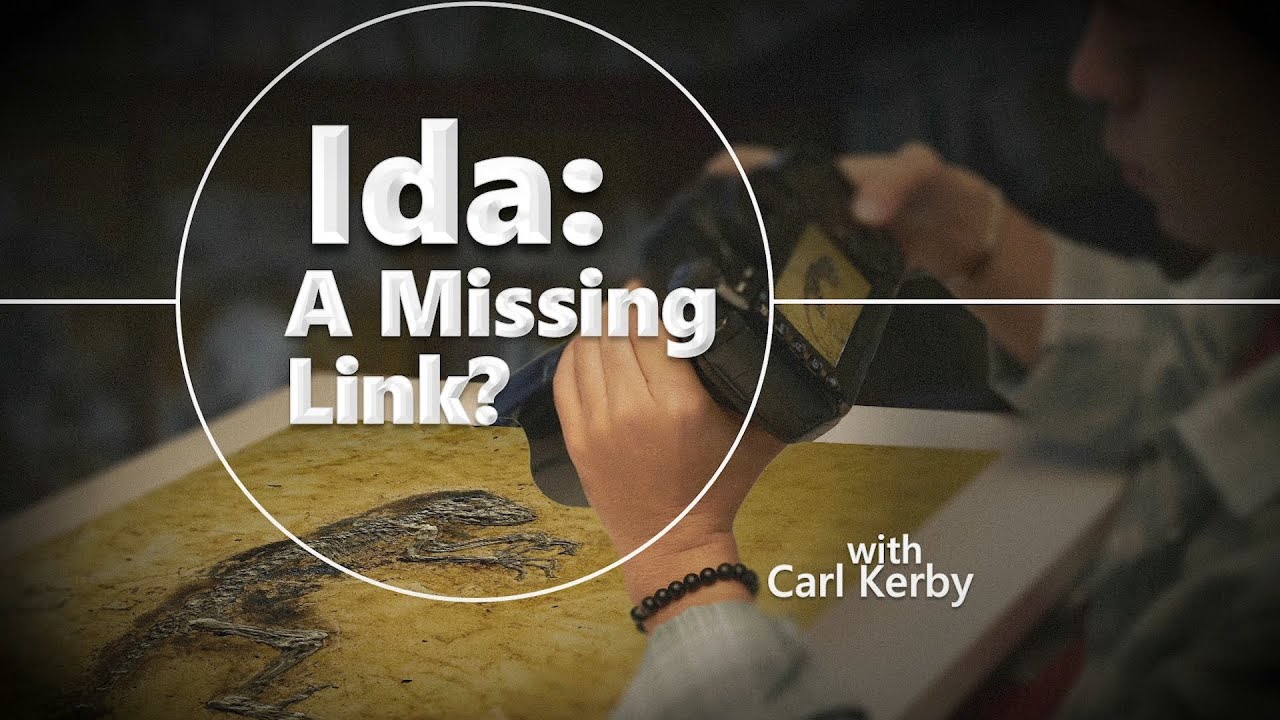 Origins Ida A Missing Link Youtube