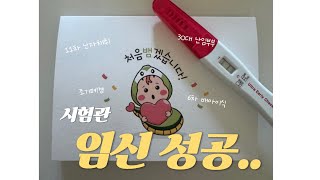 난소나이 50세 조기폐경 진단 받았던 내가 임신을 했다…👶🏻🩷 배아 이식 후 일상 브이로그✨