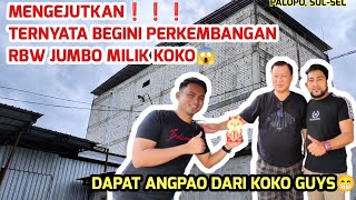 MENGEJUTKAN !!! Ternyata begini perkembangan RBW jumbo milik koko, hasilnya bikin geleng kepala!!!😱