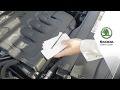 How To: Škoda Check the Oil Level