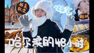 [VLOG]-25°C的童话世界哈尔滨❤狂扫菜市场美食+南方人第一次见雪超兴奋！