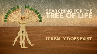 SEARCHING FOR THE TREE OF LIFE - It Really Does Exist.