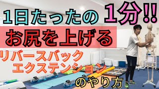 1日たったの1分‼【お尻を上げる】リバースバックエクステンションのやり方