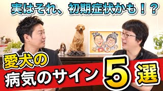 こんな時は動物病院へ！【愛犬の病気のサイン５選】をペットショップ店長が解説します！