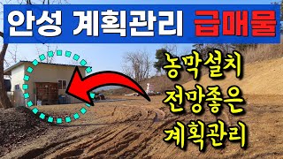 안성 급매물 토지 계획관리 지역으로 전망좋은 매물 시세 이하 매매합니다.